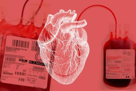 Амурчане рассказали, как стали донорами